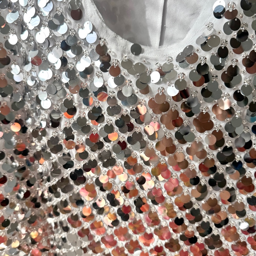 Zara Silver Sequin Sleeveless Top Blouse Size S (NWOT) - Picture 4 of 9